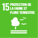 Protection-de-la-faume-et-flore-terrestre